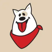 Kesätyö koirien parissa (15–17-vuotiaalle)