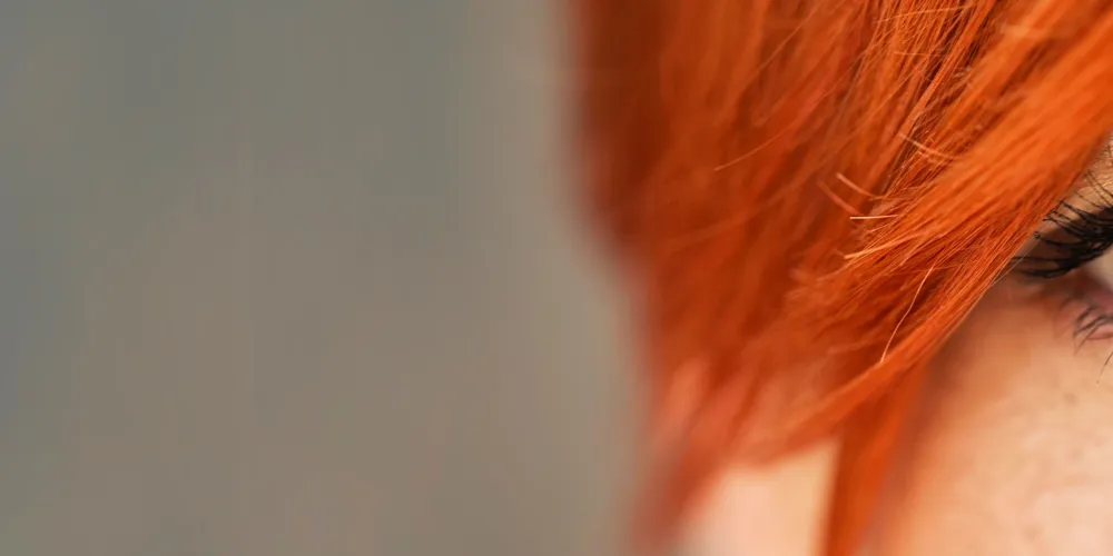 Carrot Palvelut Oy